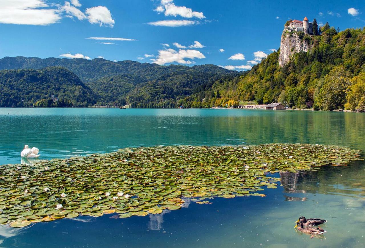 Apartma As Bled Exteriör bild
