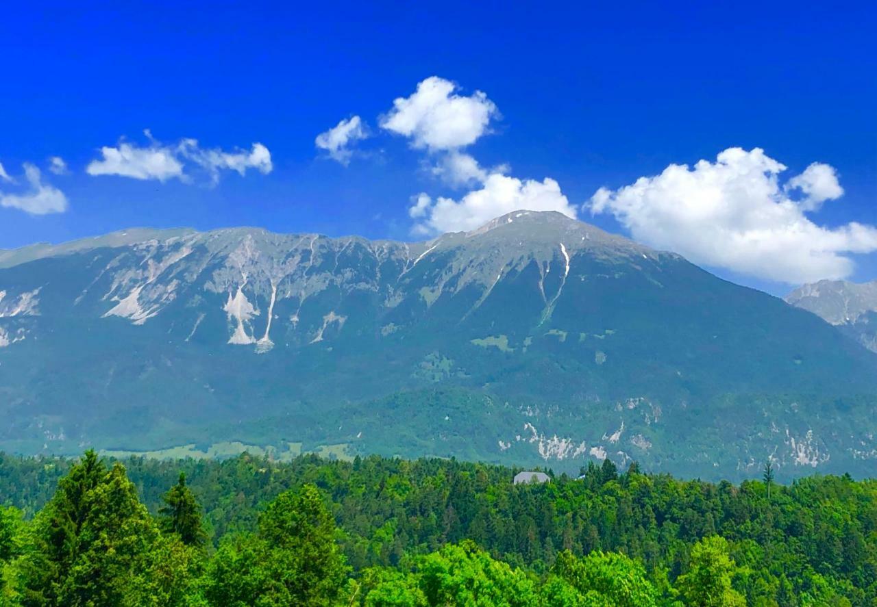 Apartma As Bled Exteriör bild